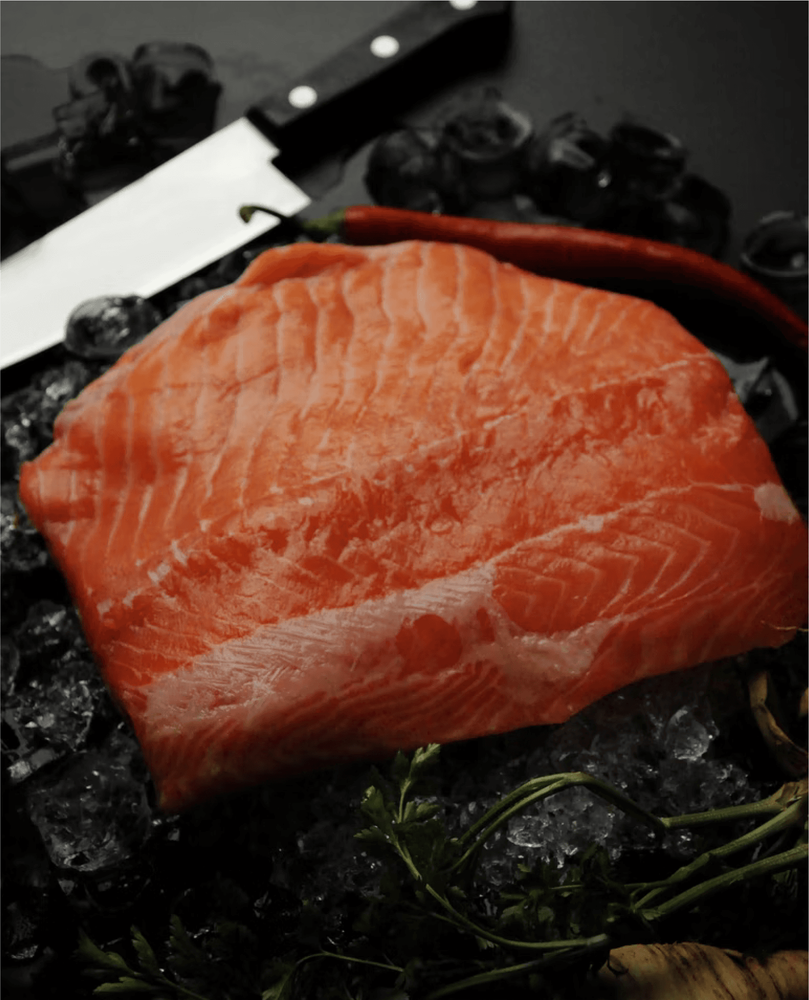 Salmon Fillet
